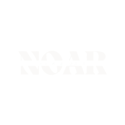 NOAR Hair Studio